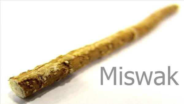 Miswak - The Miracle Tooth Brush
